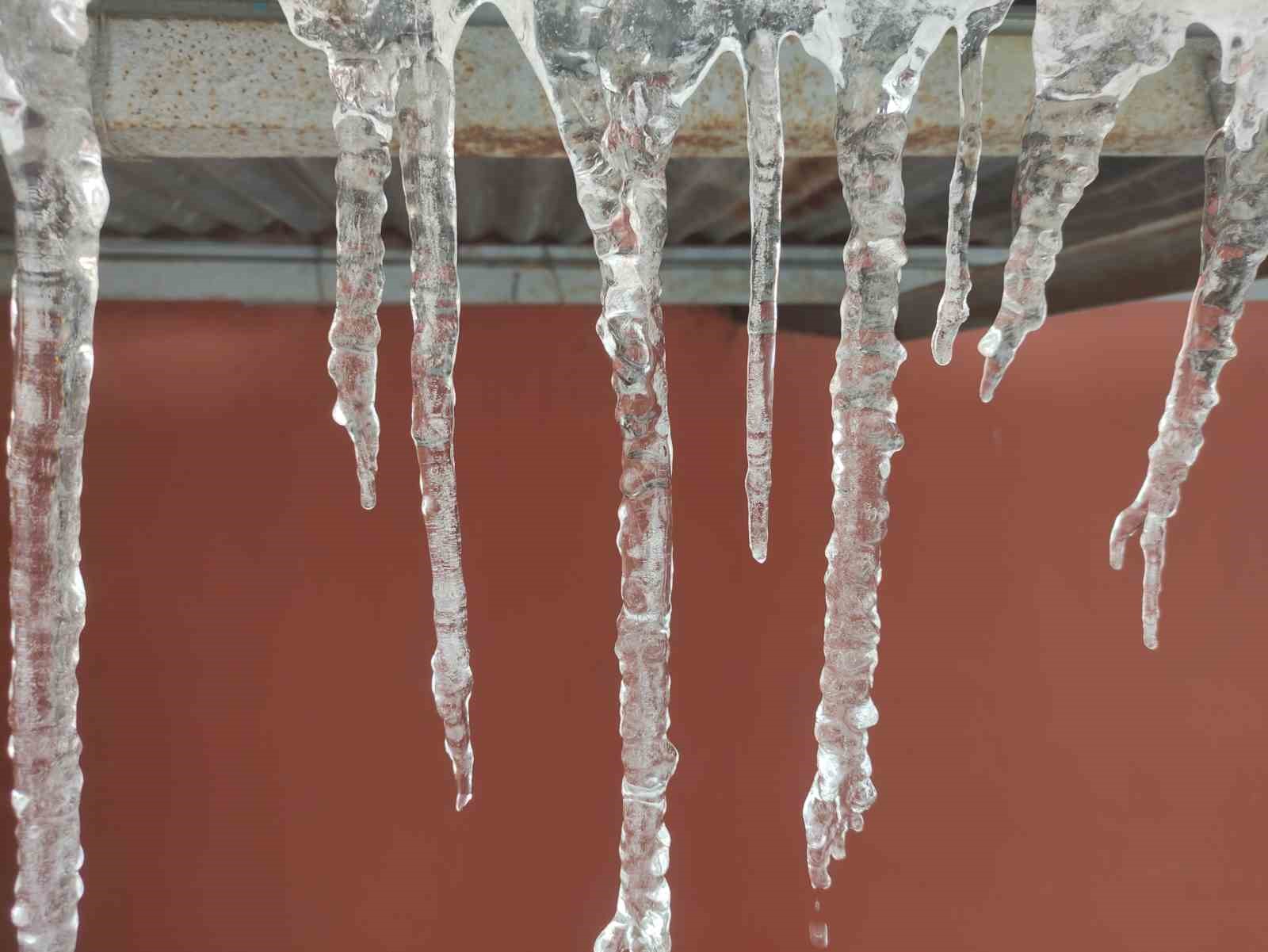 Hava sıcaklığı eksi 10’a düştü, ağaç dalları dondu
