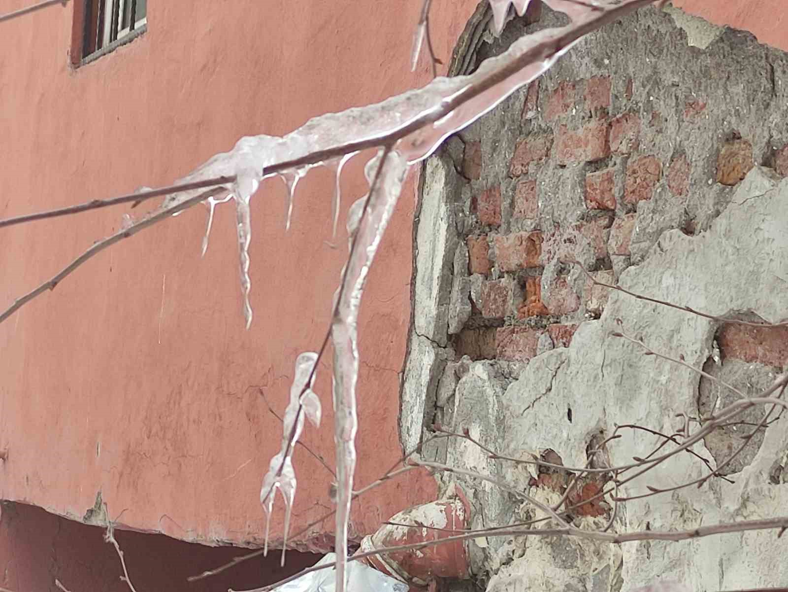 Hava sıcaklığı eksi 10’a düştü, ağaç dalları dondu
