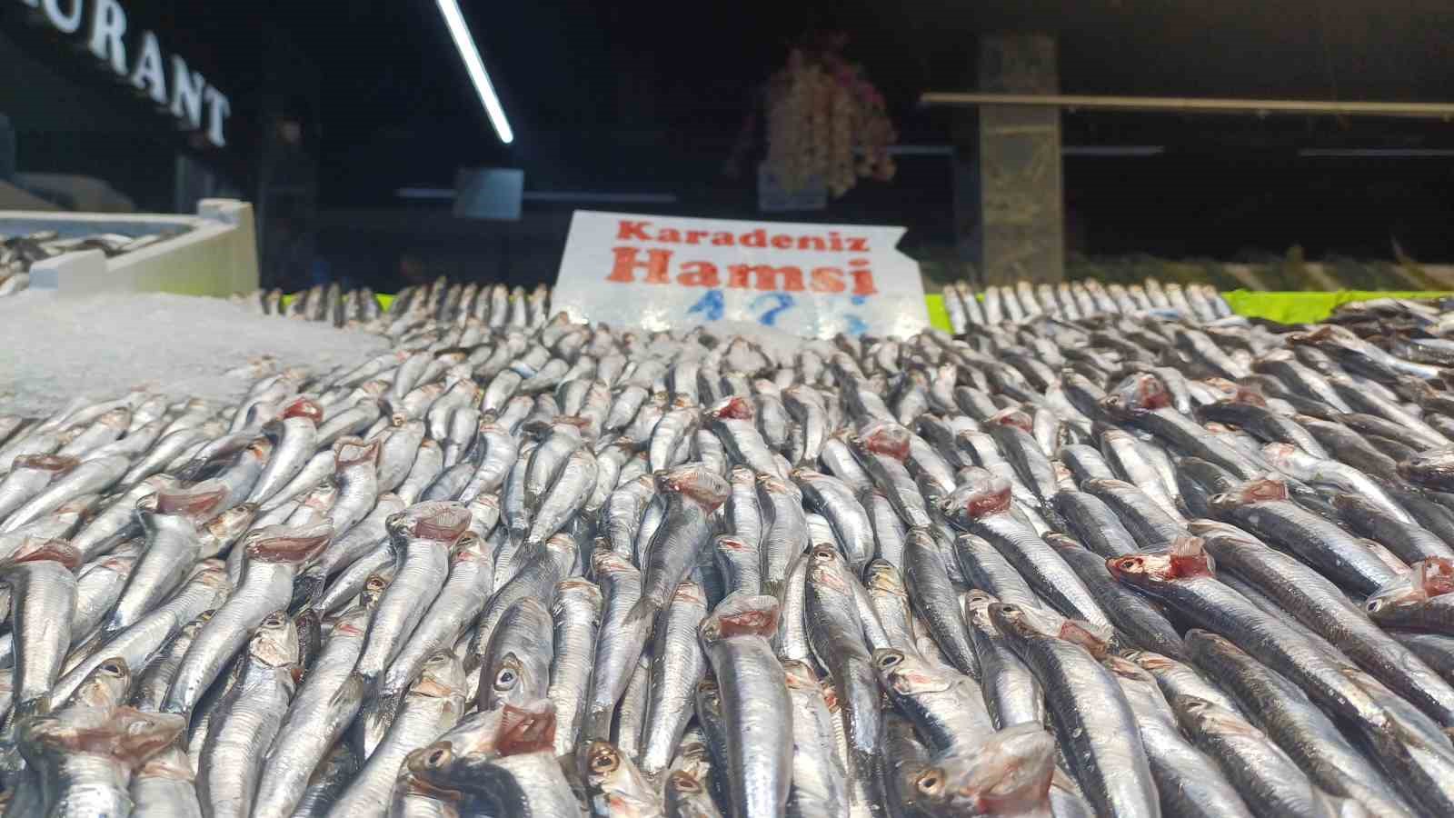 Hava soğudu hamsi geri döndü
