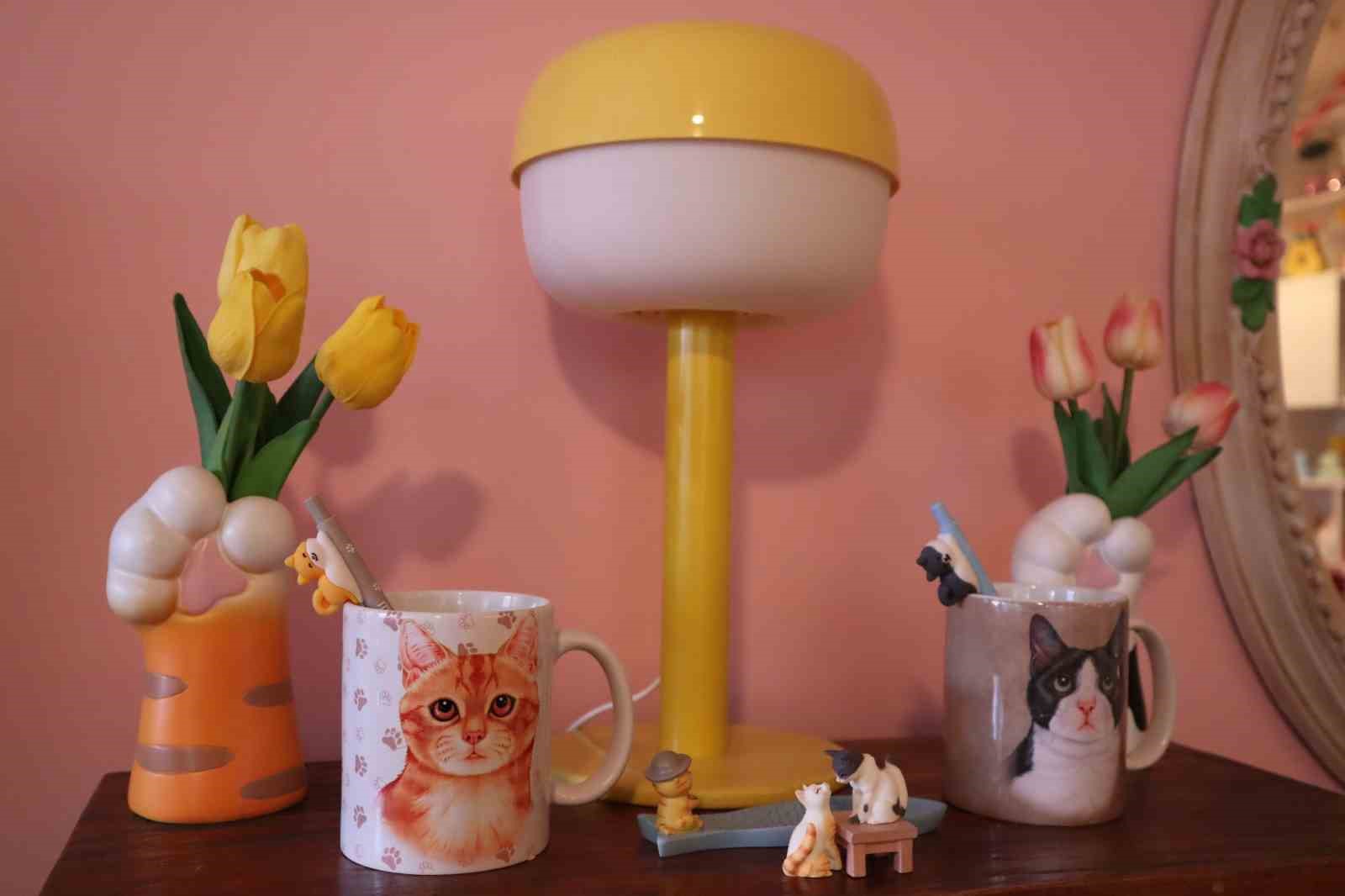 Hayal dünyasından gerçeğe uzanan renkli yolculuk: Bu ev masalları aratmıyor
