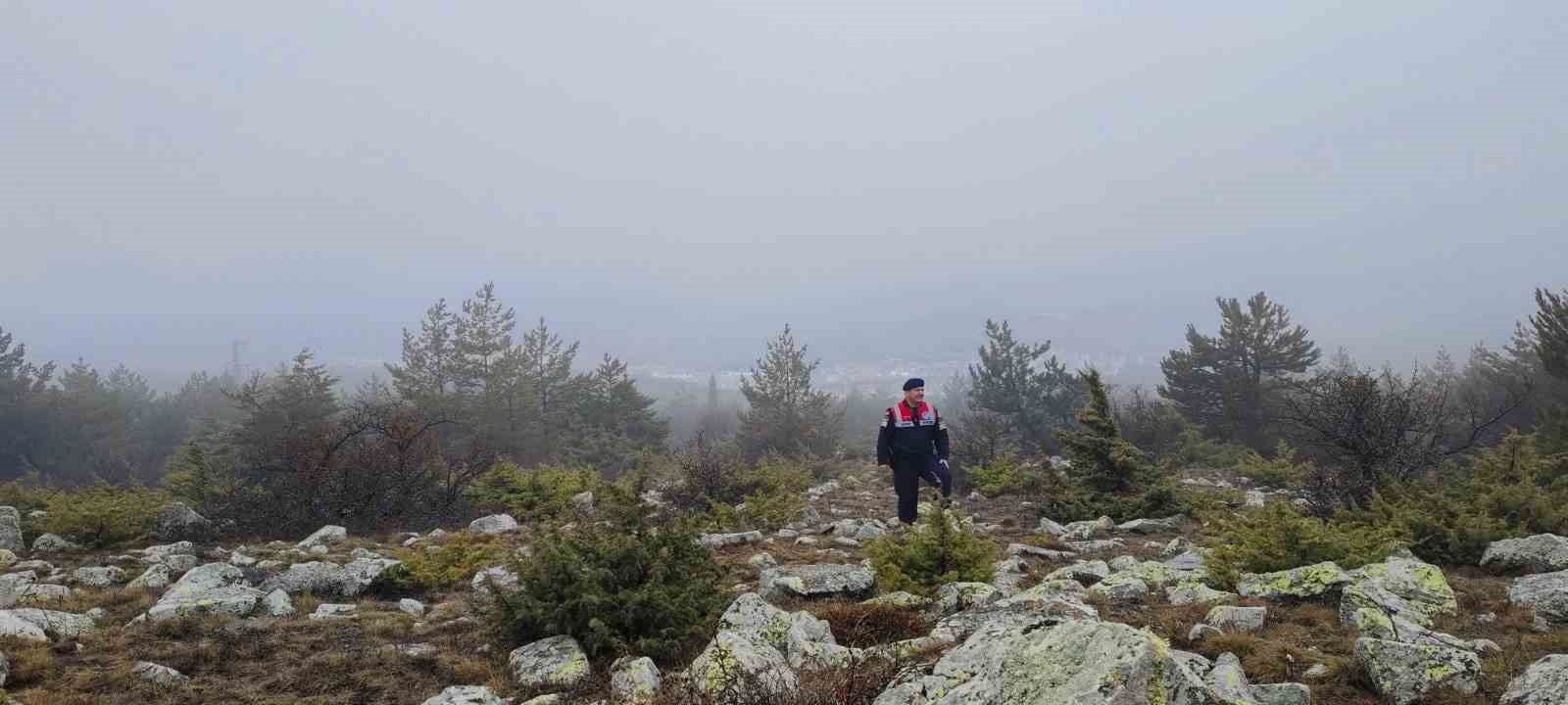 HAYDİ ekipleri doğadaki canlıları unutmadı
