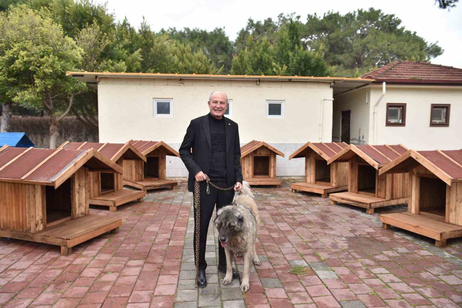 Hayırseverlerden 8 adet köpek ve 50 adet kedi kulübesi
