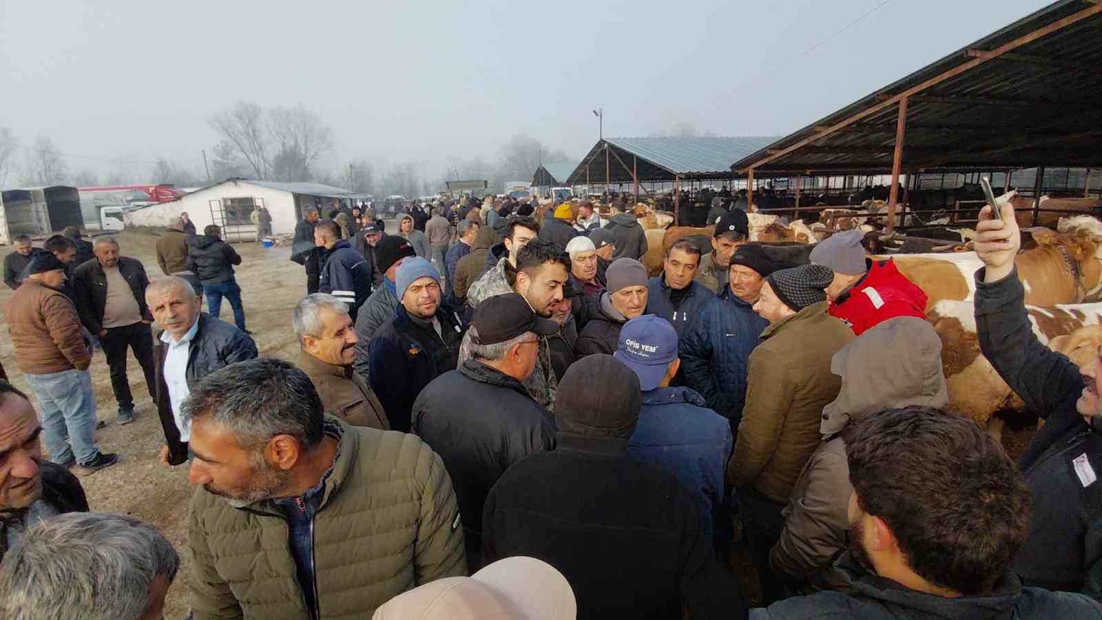 Hayvan pazarında hararetli pazarlık kamerada
Hayvan pazarında hararetli pazarlık kamerada