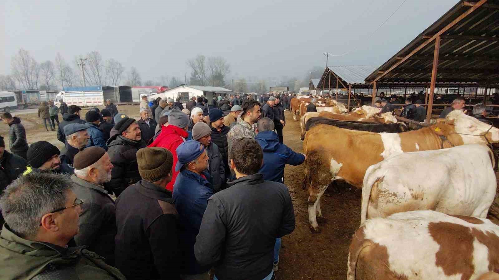 Hayvan pazarında hararetli pazarlık kamerada
Hayvan pazarında hararetli pazarlık kamerada