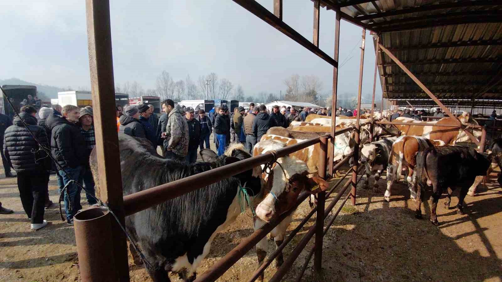 Hayvan pazarında hararetli pazarlık kamerada
Hayvan pazarında hararetli pazarlık kamerada