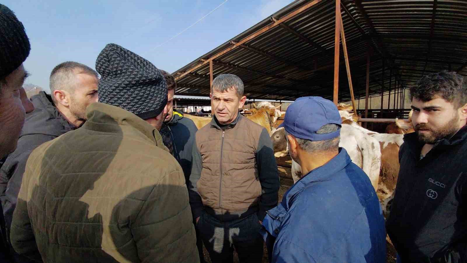 Hayvan pazarında hararetli pazarlık kamerada
Hayvan pazarında hararetli pazarlık kamerada