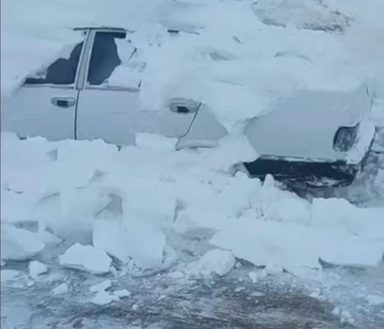 Hayvanlar aç kalmasın diye çıktığı yolda ölümden döndü
