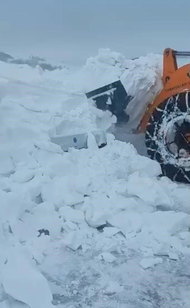 Hayvanlar aç kalmasın diye çıktığı yolda ölümden döndü
