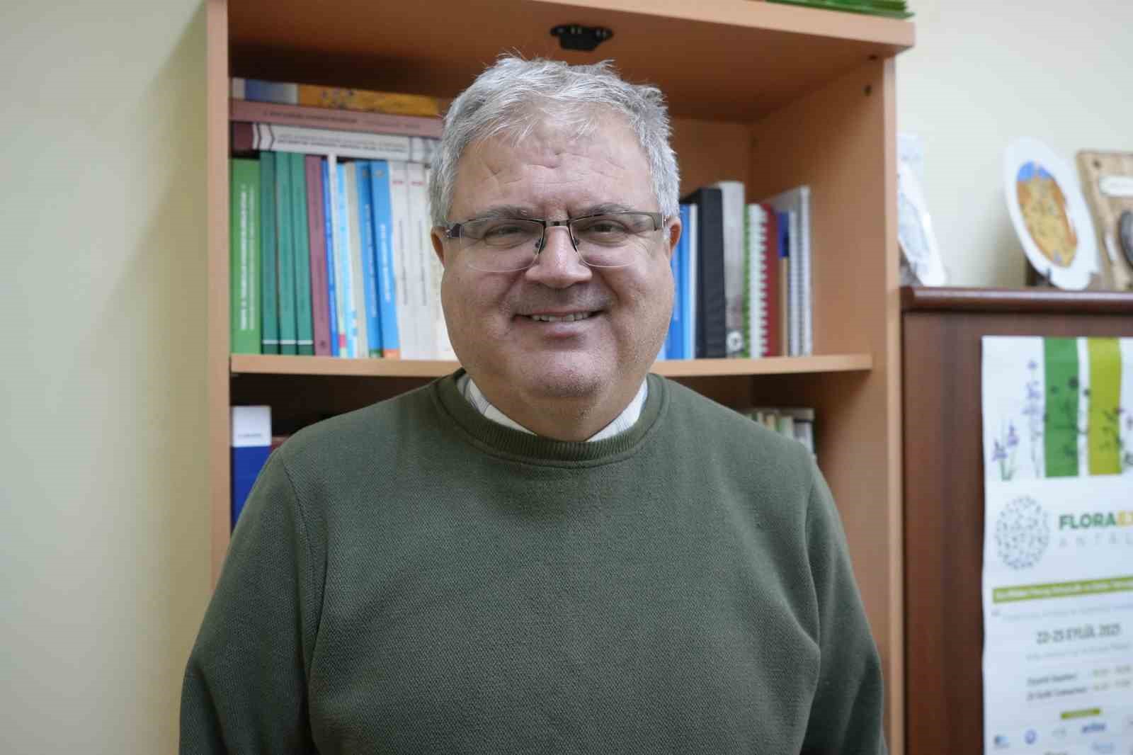 Hem ağaca hem insanlara zararı var: Samsun ormanlarında çam kese tırtılı istilası
