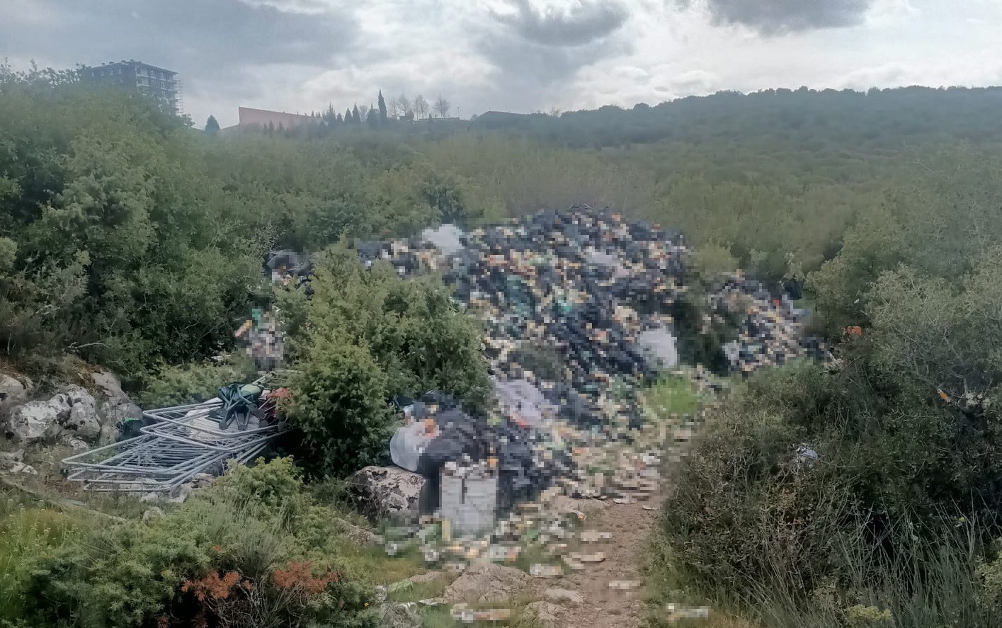 Hepsi zabıta ekiplerinin baskınında ortaya çıktı
