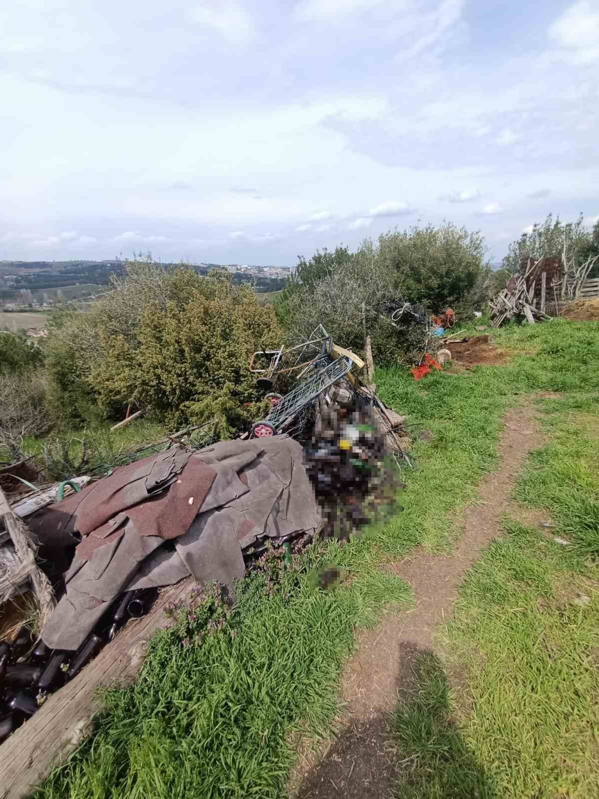 Hepsi zabıta ekiplerinin baskınında ortaya çıktı
