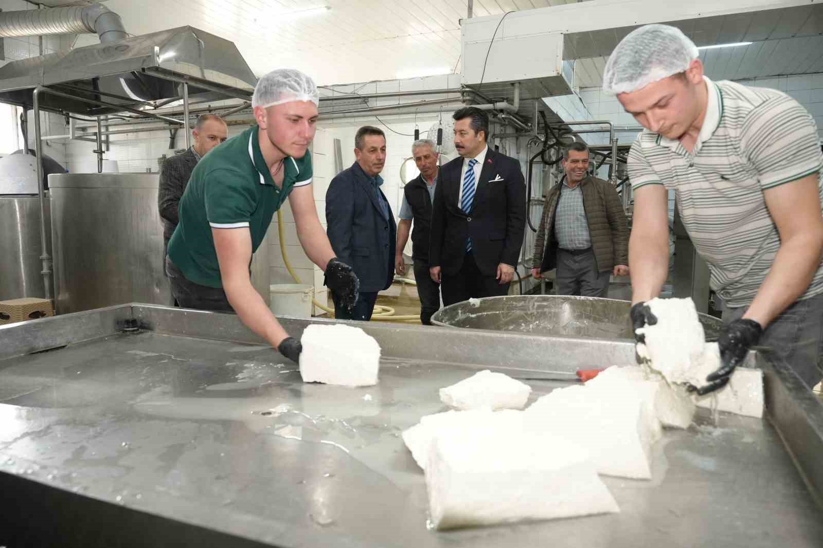 Her gün 3,5 ton sütten 12 çeşit peynir üretiyorlar
Her gün 3,5 ton sütten 12 çeşit peynir üretiyorlar