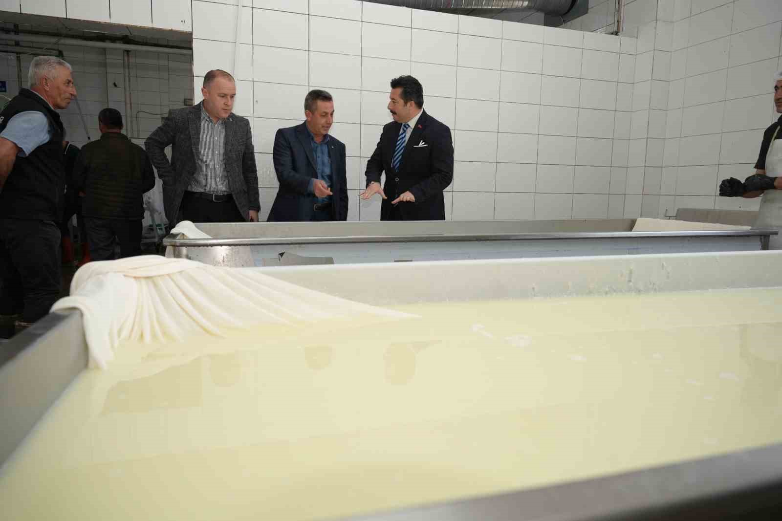 Her gün 3,5 ton sütten 12 çeşit peynir üretiyorlar
Her gün 3,5 ton sütten 12 çeşit peynir üretiyorlar