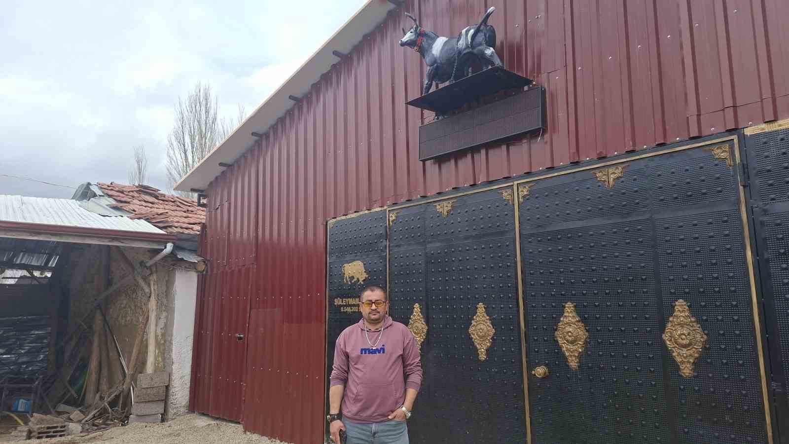 Heykeli gerçek sanıp kaçtı: Tosunun şaşkınlığı sosyal medyada gündem oldu
