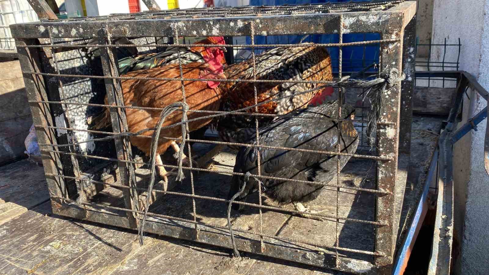 Hindi var, kaz var alıcı yok: Tezgâhlarda durgunluk
