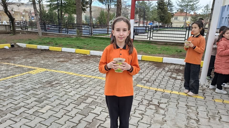 Hisarcık’ta minikler saksılarda karaçam fidanı yetiştirecek
