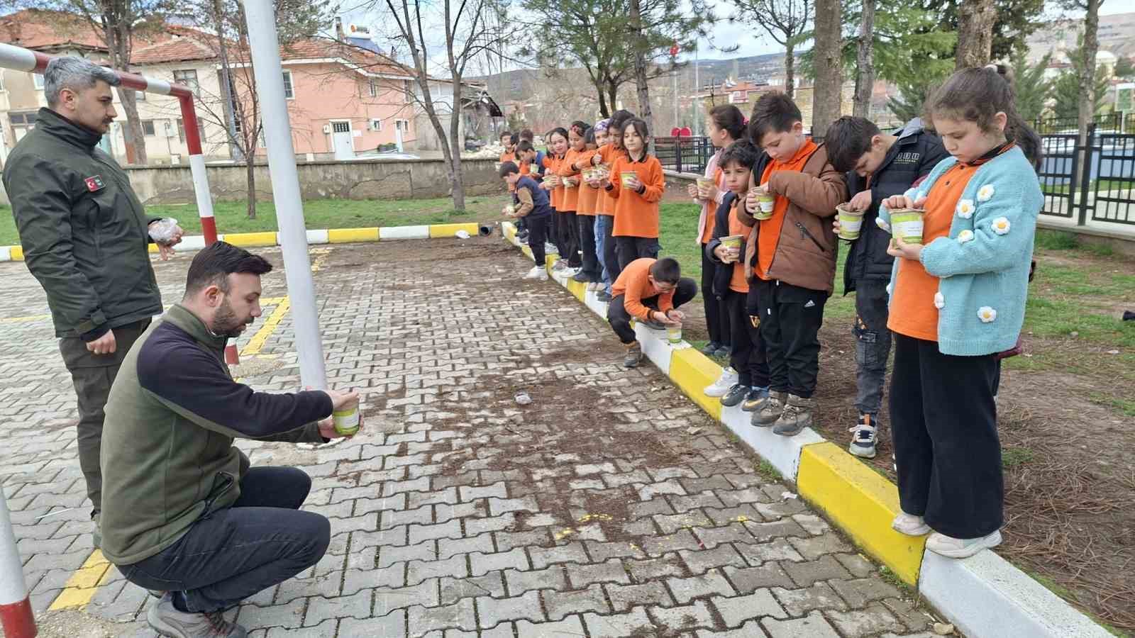 Hisarcık’ta minikler saksılarda karaçam fidanı yetiştirecek
