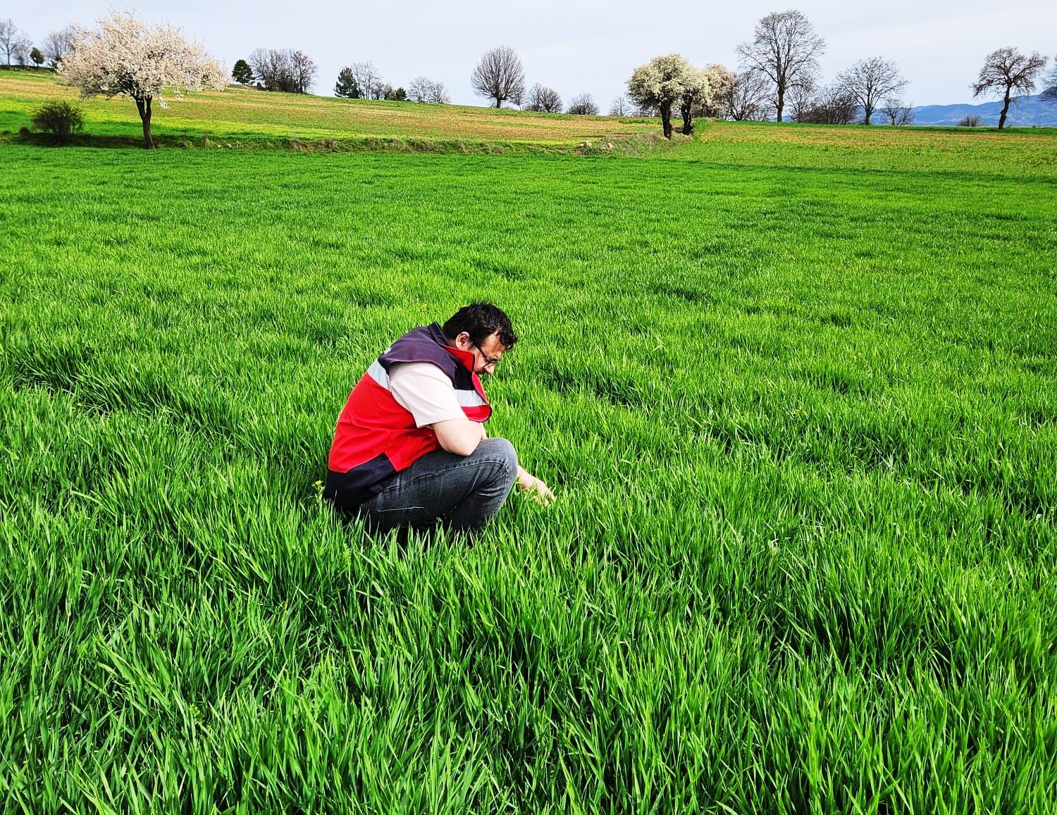 Hisarcık’ta tarımsal saha çalışmaları yapıldı
