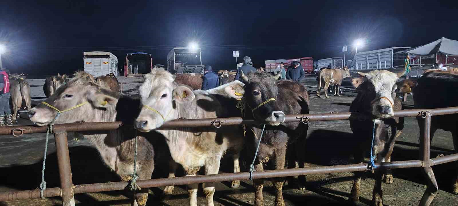 İç Anadolu’nun en büyük hayvan pazarında yoğun kurban mesaisi başladı
