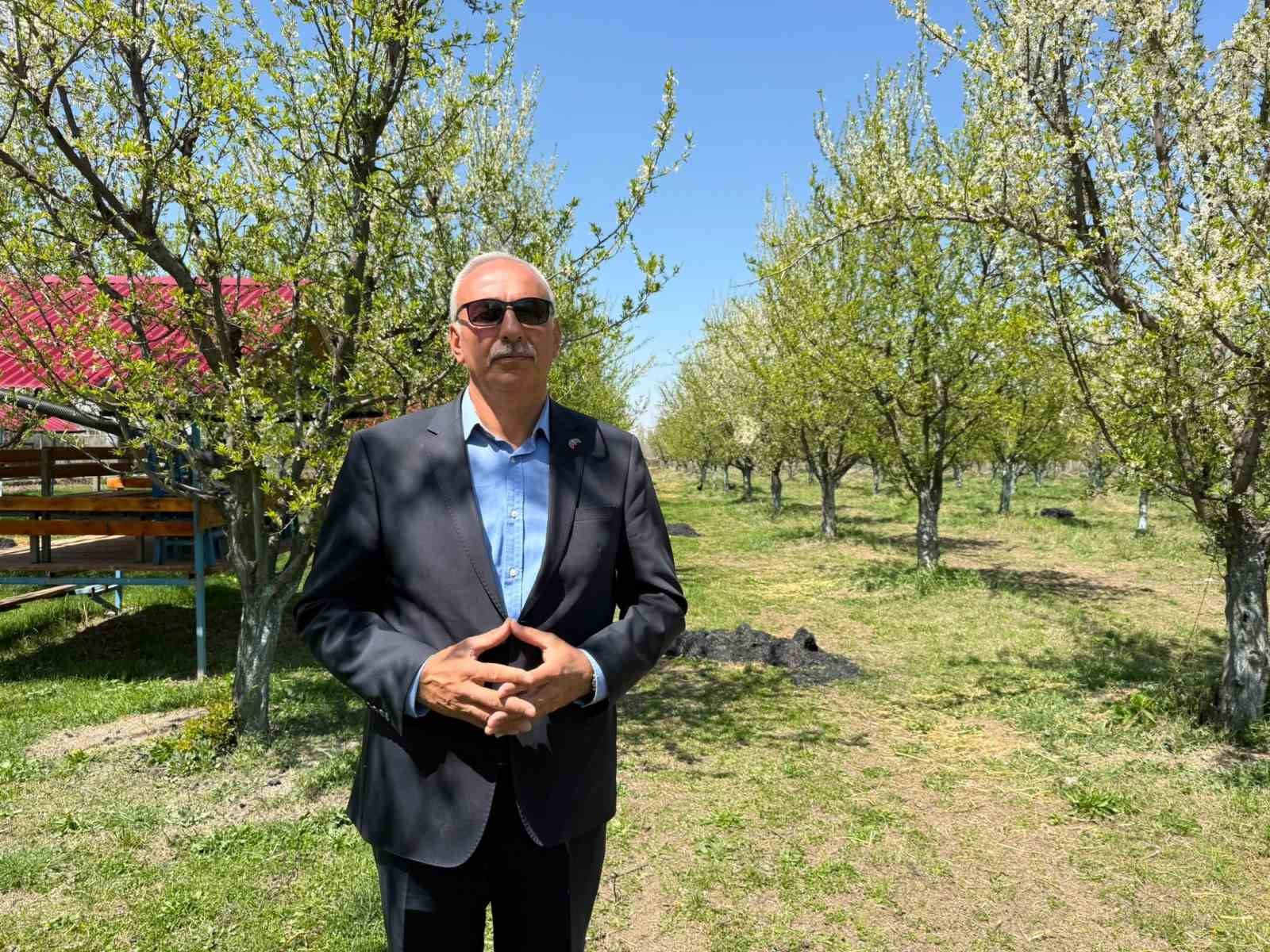 Iğdır’da çiftçiler meyve ağaçlarını dumanlama yöntemi ile soğuktan korudu
Iğdır’da çiftçiler meyve ağaçlarını dumanlama yöntemi ile soğuktan korudu