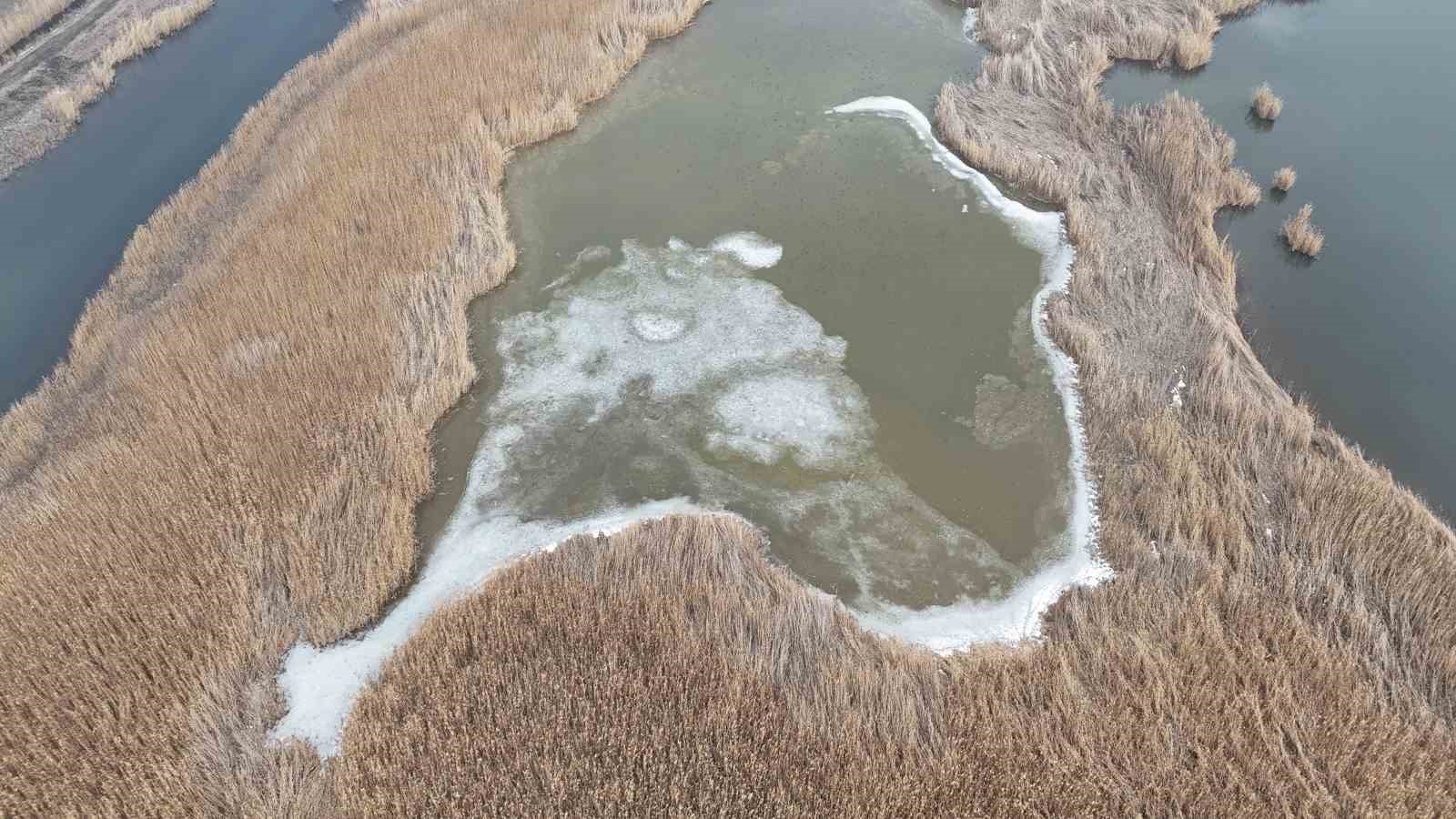 Iğdır’da donan Karasu Sazlığı’nda buzlar eriyor
Iğdır’da donan Karasu Sazlığı’nda buzlar eriyor