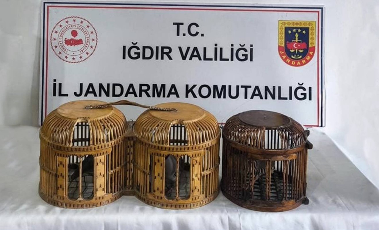 Iğdır’da kaçak keklik avına suçüstü: 72 bin TL ceza
Iğdır’da kaçak keklik avına suçüstü: 72 bin TL ceza