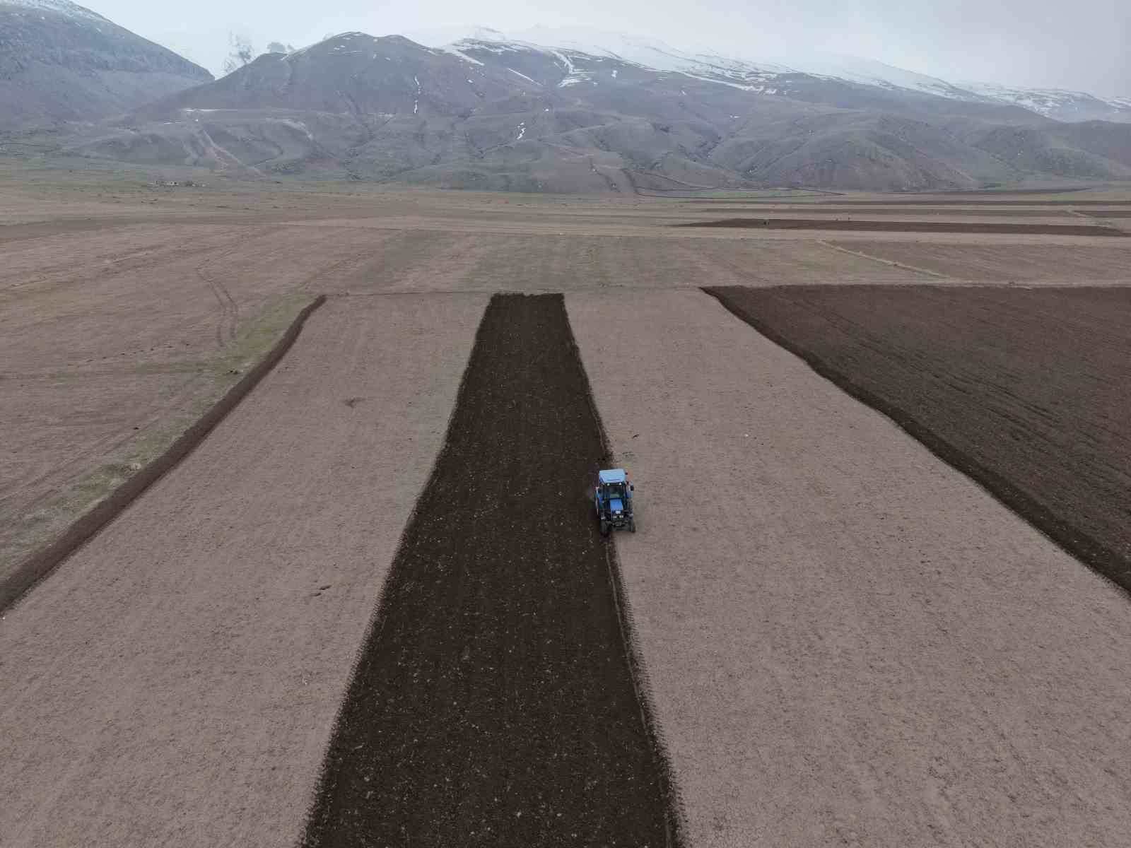 Iğdır’da kırsalda 2026 ekin sezonu başladı
