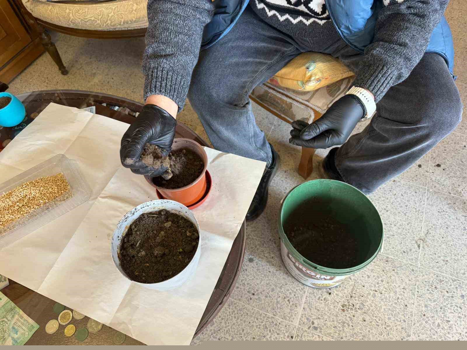 Iğdır’da Nevruz’un simgesi semeniler hazırlanmaya başlandı
