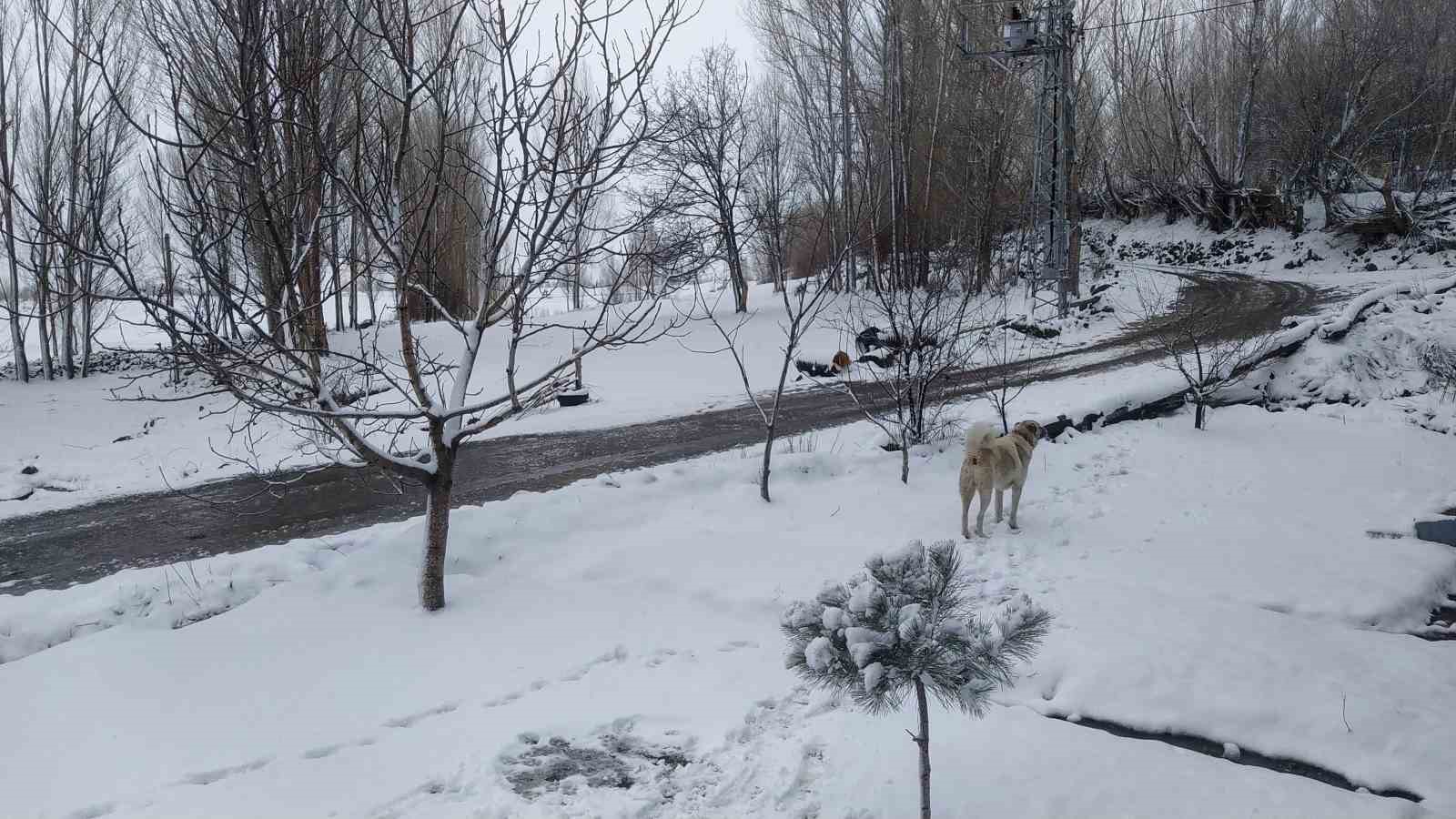 Iğdır’da nisan sürprizi: Yüksek kesimlerde kar, merkezde yağmur etkili
