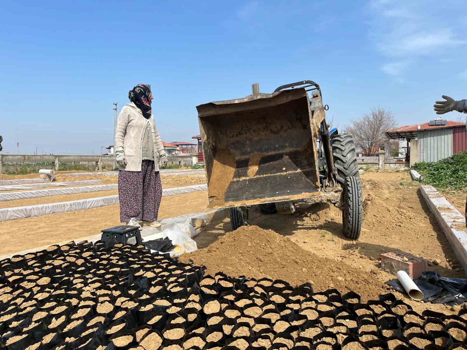 İki kardeşten üzüm fidanında büyük başarı
