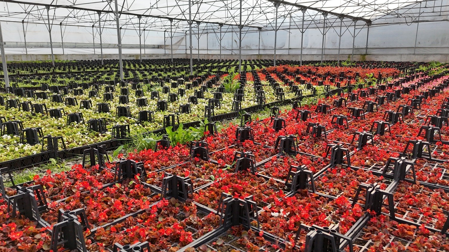 İklim nötr şehirler ağında "öncü kent Samsun"
İklim nötr şehirler ağında "öncü kent Samsun"