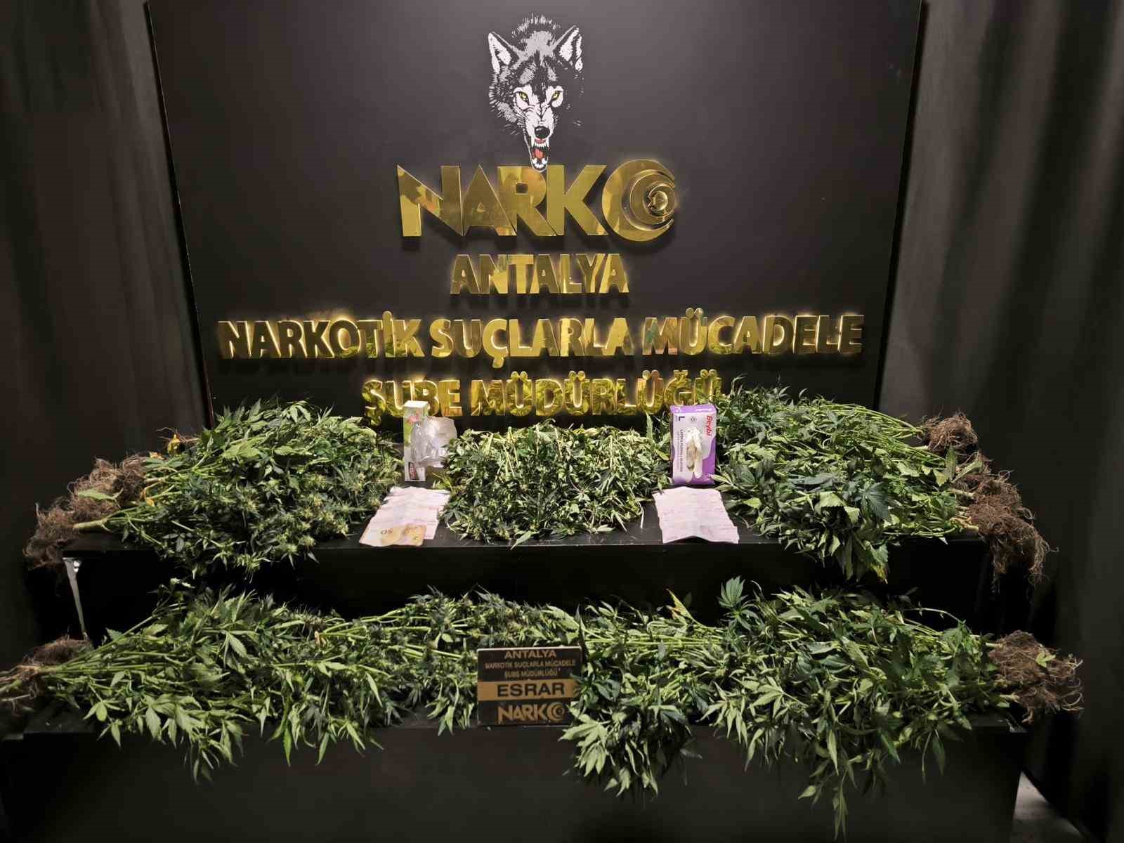 İl emniyet müdürünün yönettiği operasyonda çok miktarda uyuşturucu madde ele geçirildi
İl emniyet müdürünün yönettiği operasyonda çok miktarda uyuşturucu madde ele geçirildi