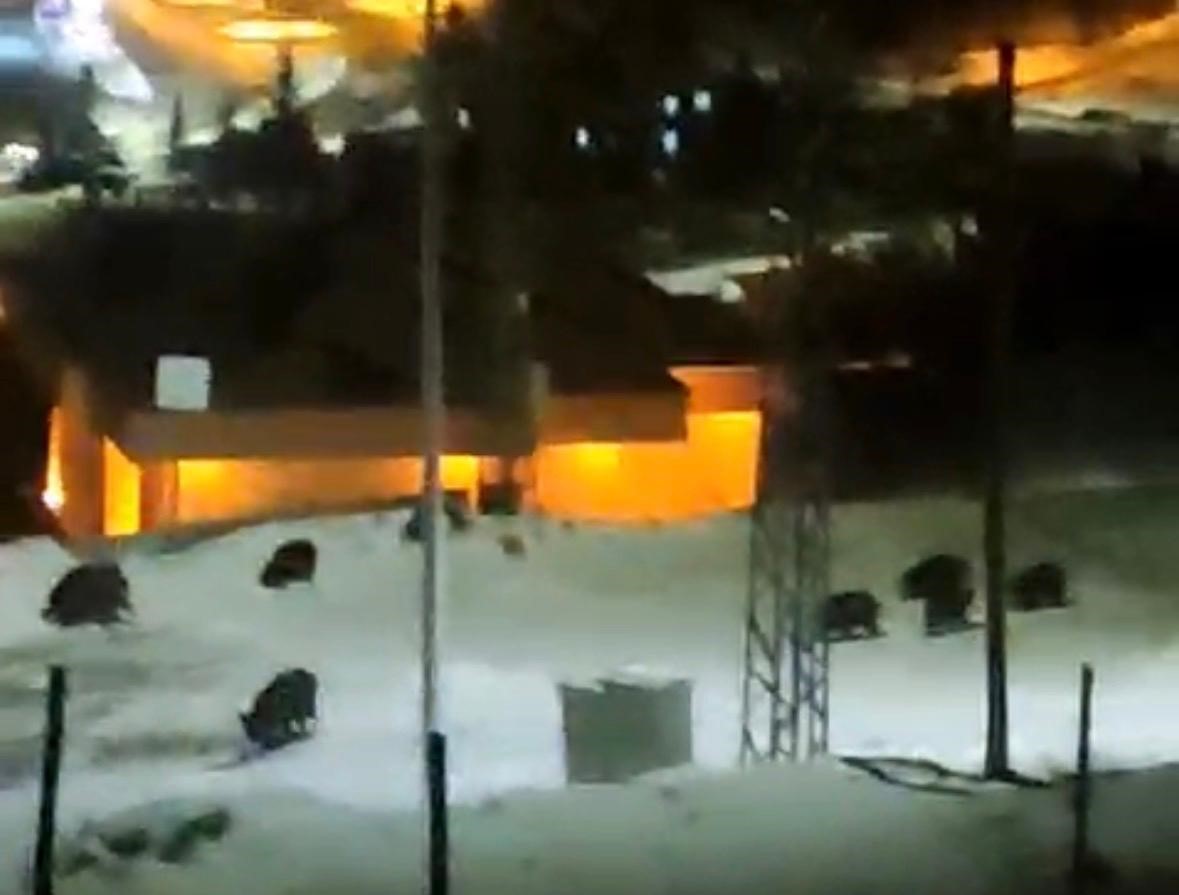 İlçe merkezine inen domuz sürüsü kamerada
