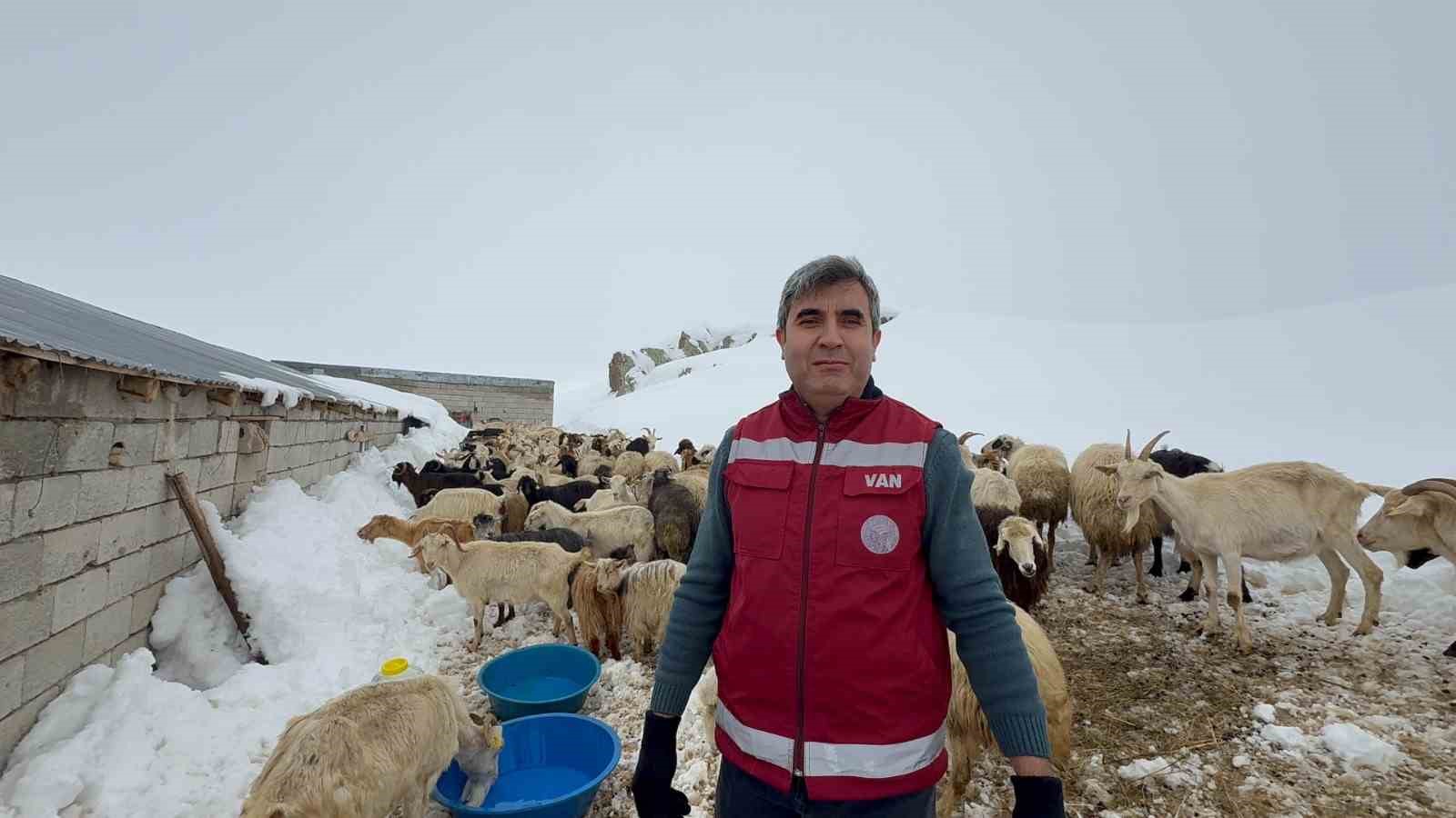 İlçe Tarım ve Orman Müdürlüğü ekipleri suların donduğu bölgedeki hayvanlara su götürdü
