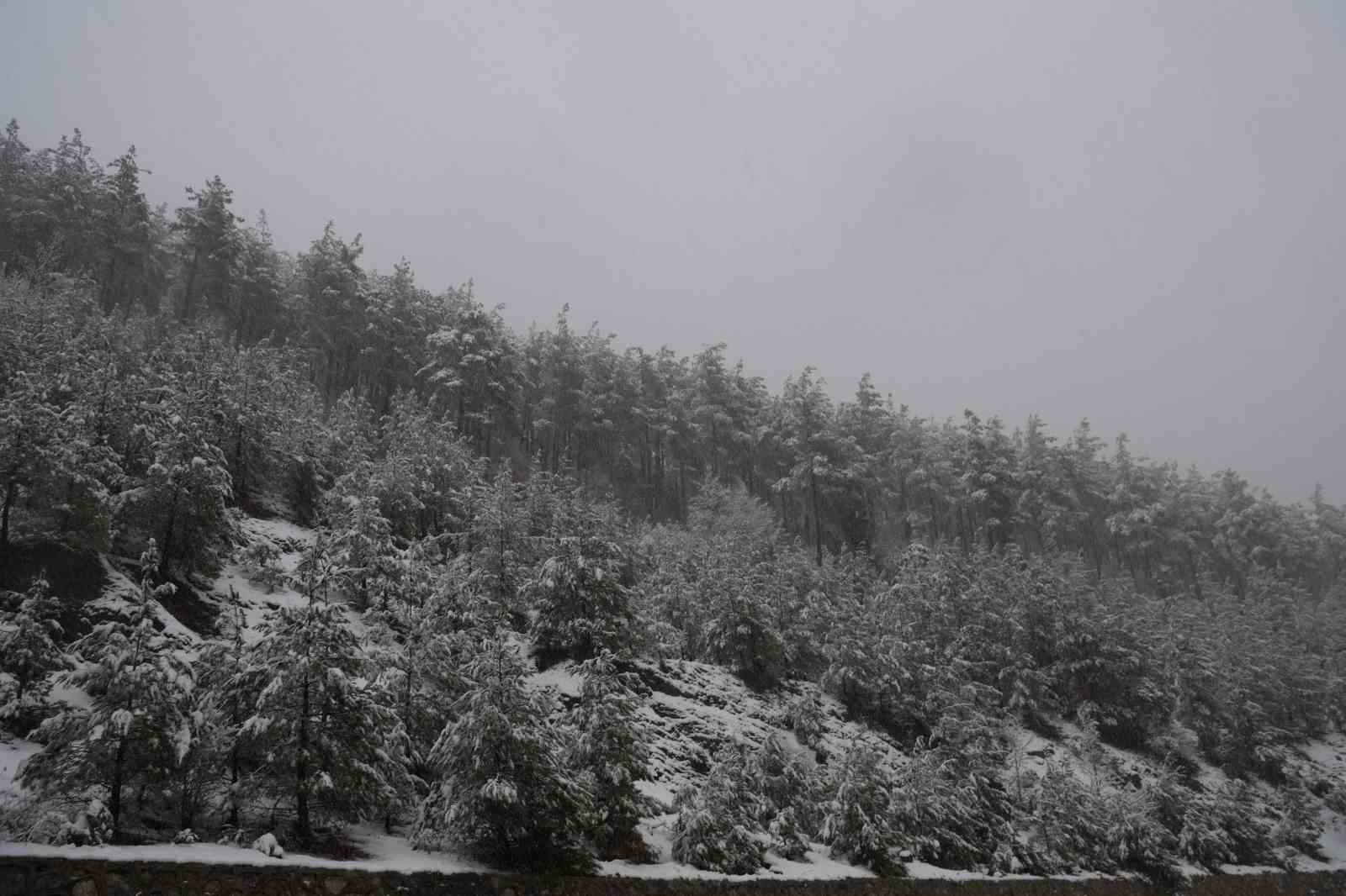 İlk kez kar yağışını izlediler
