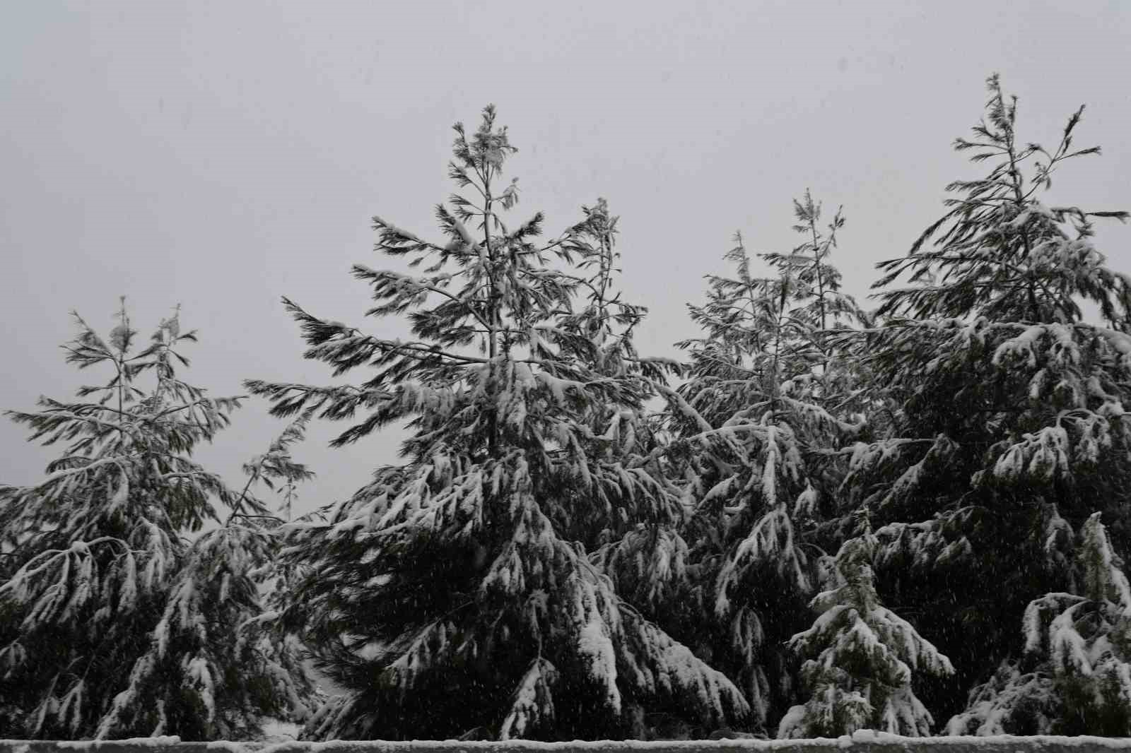 İlk kez kar yağışını izlediler
