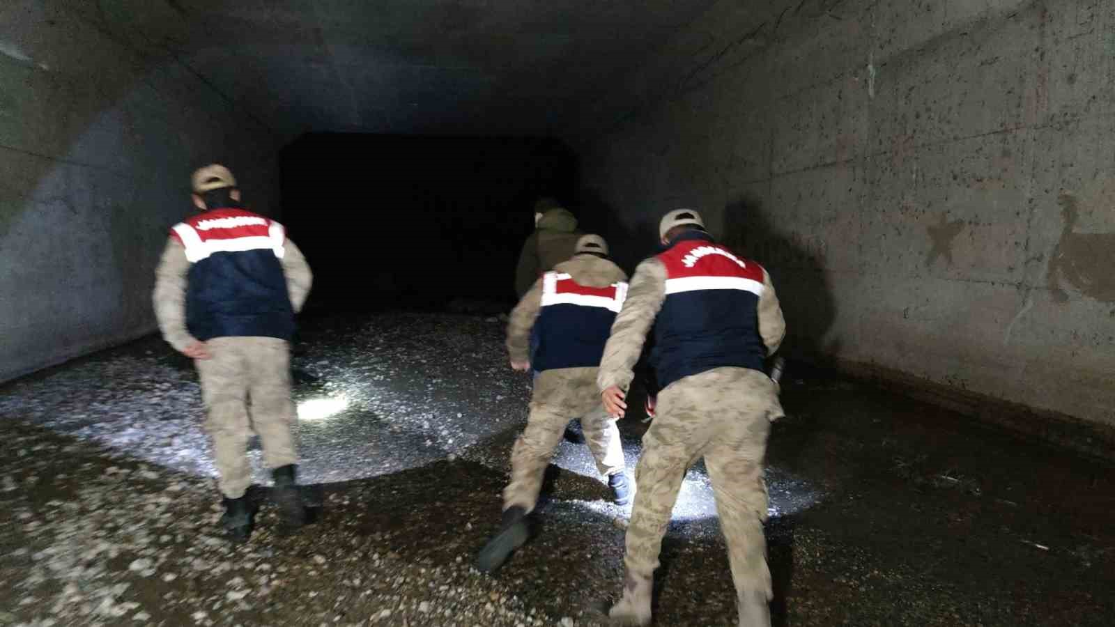 İnci kefalleri Van İl Jandarma Komutanlığı’na emanet
