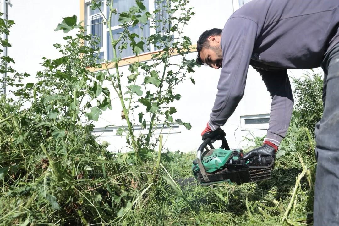 İncirliova’da okul bahçeleri temizlendi
