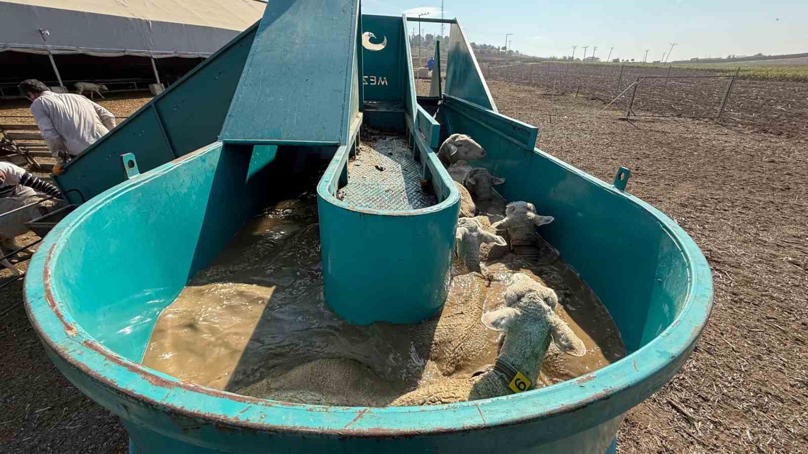 İnegöl Belediyesi’nden tarıma ve üreticiye tam destek
İnegöl Belediyesi’nden tarıma ve üreticiye tam destek