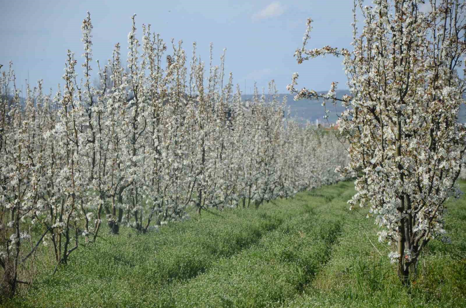 İnegöl’de kartpostallık görüntüler

