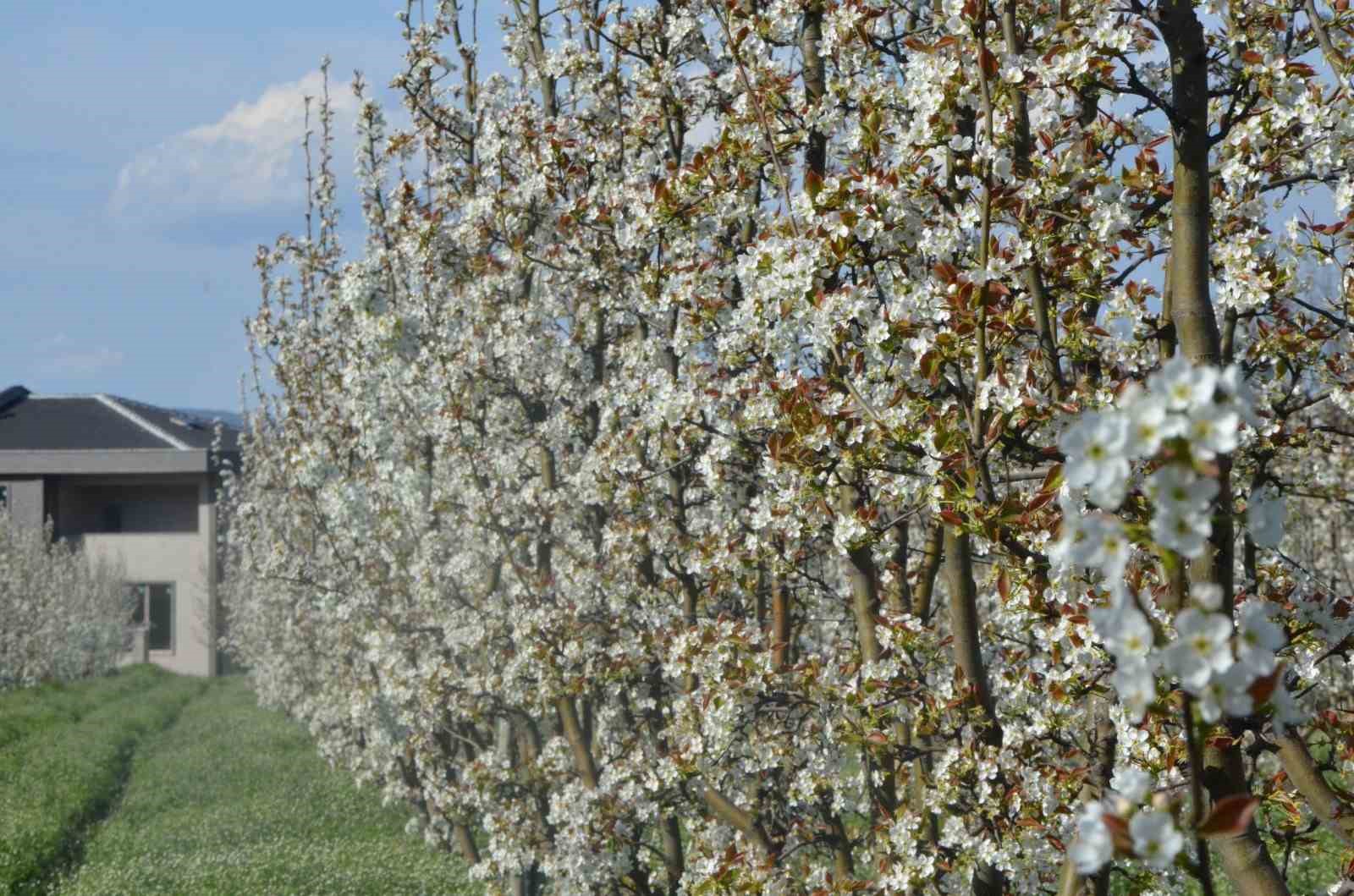 İnegöl’de kartpostallık görüntüler
