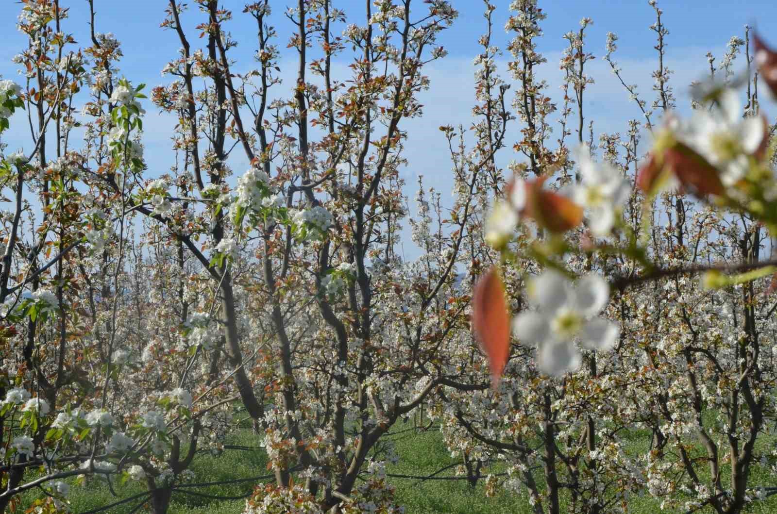 İnegöl’de kartpostallık görüntüler
