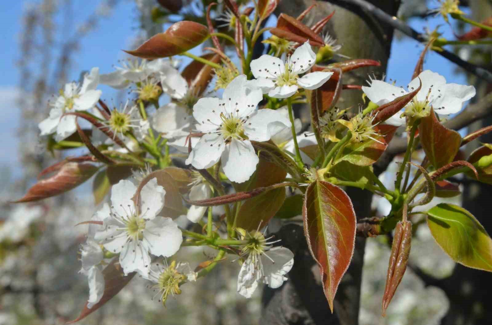 İnegöl’de kartpostallık görüntüler
