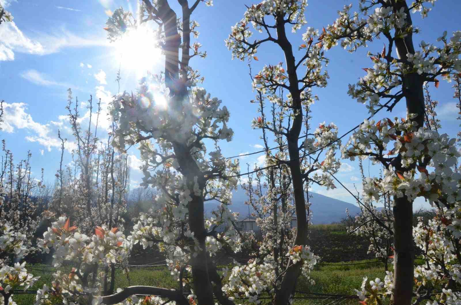 İnegöl’de kartpostallık görüntüler

