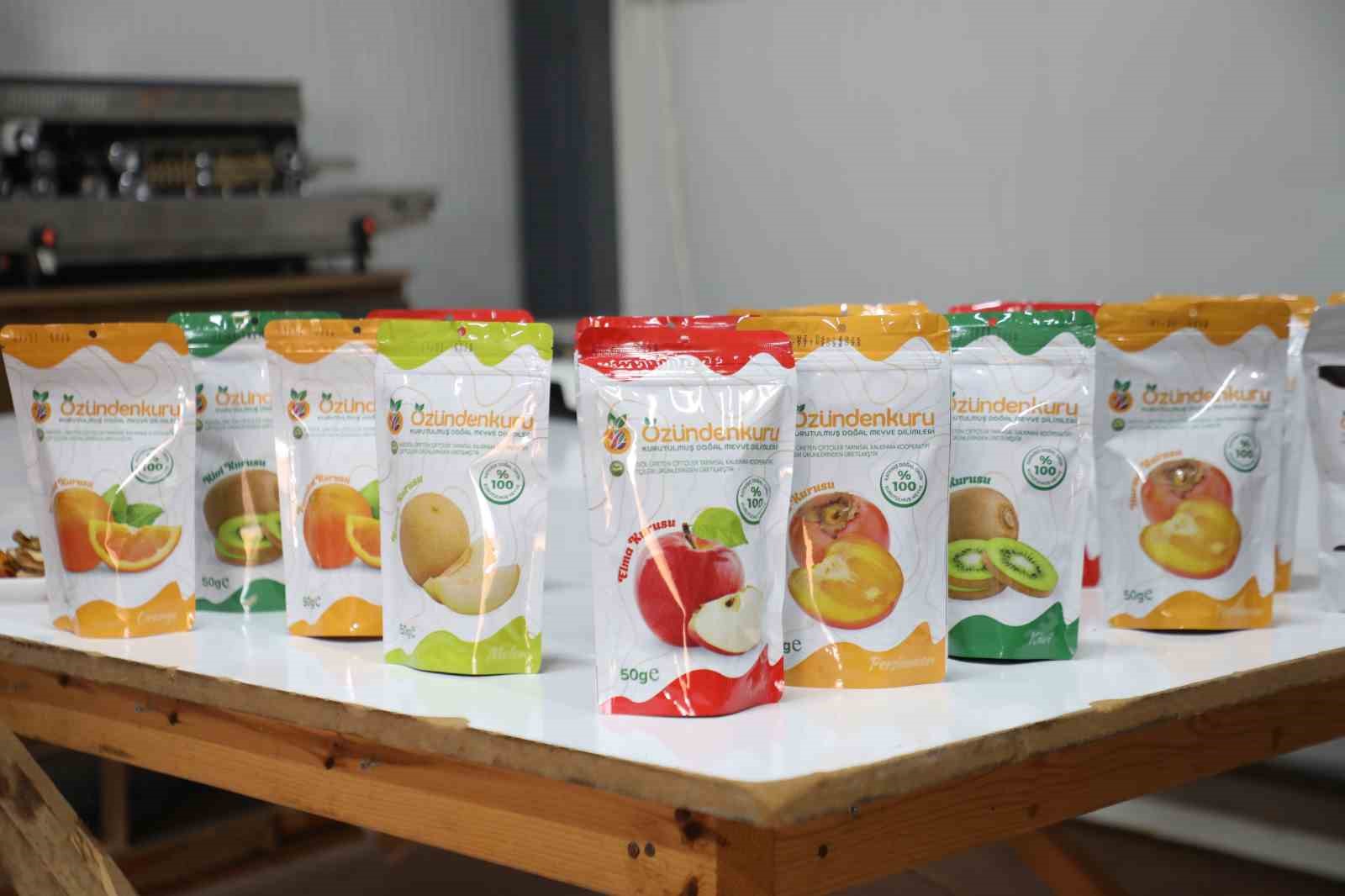 İnegöl’de tarımın geleceği inşa ediliyor
