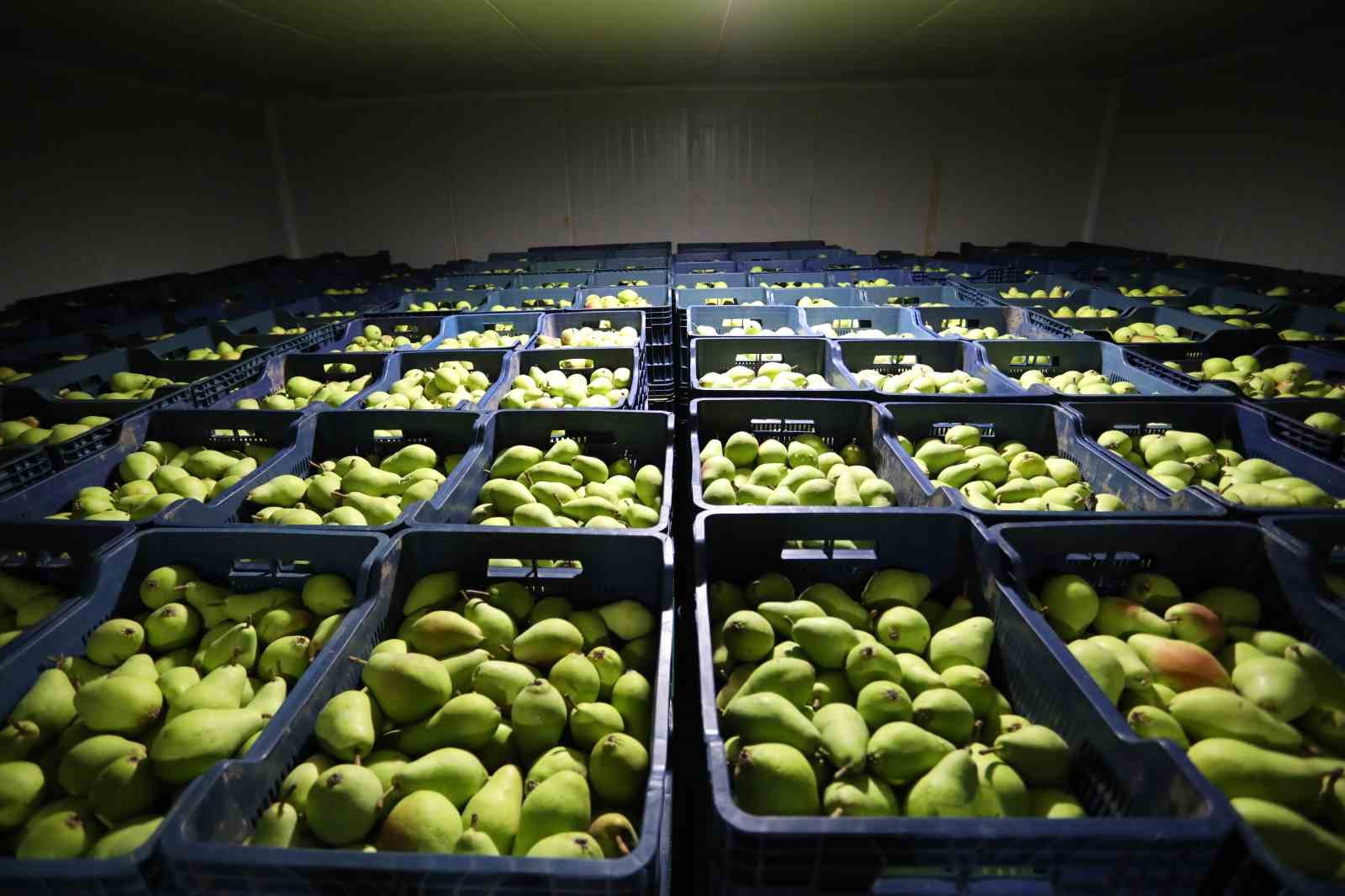 İnegöl’de tarımın geleceği inşa ediliyor
