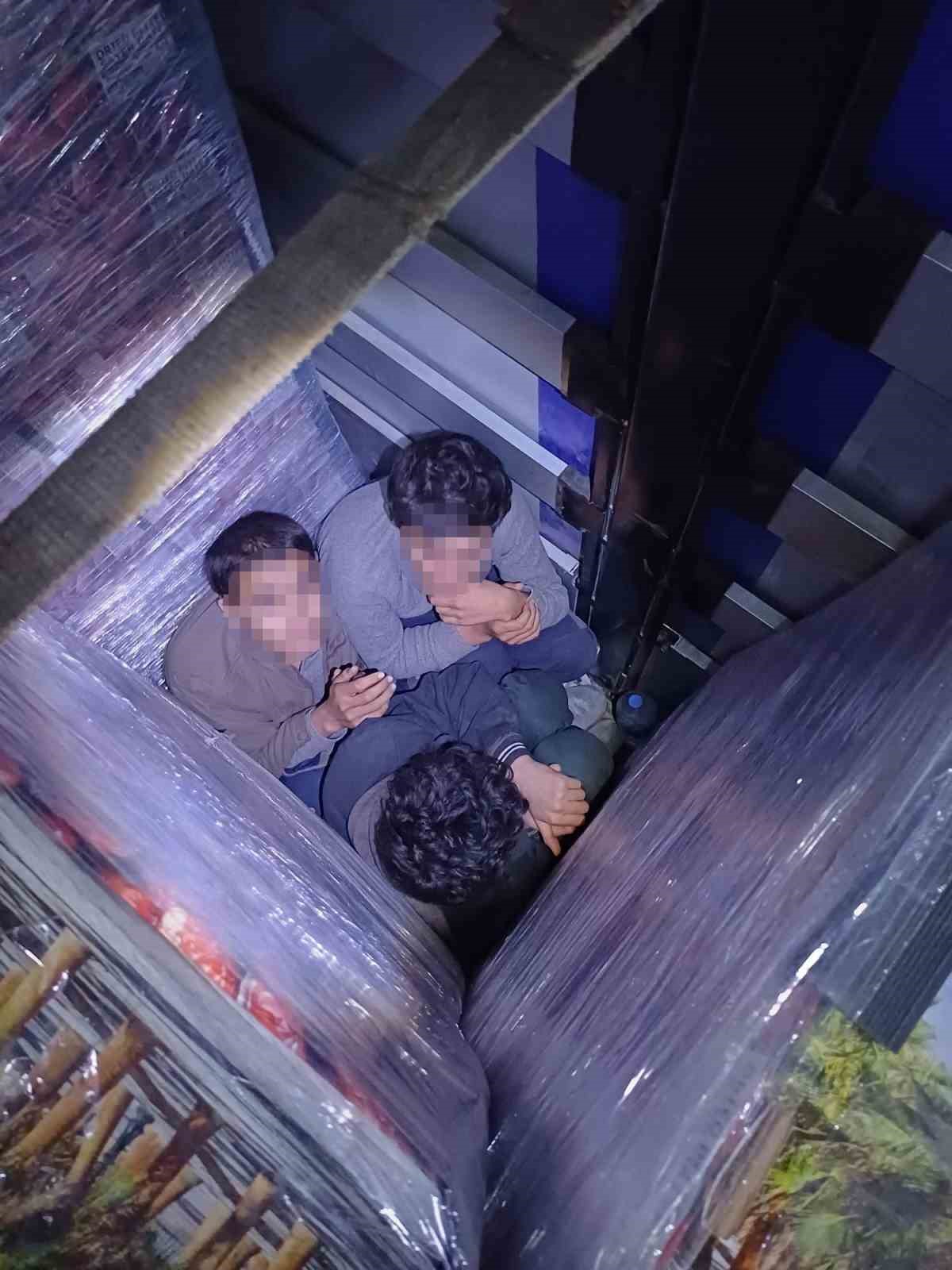 İnsan kaçakçısı tır sürücüsü tutuklandı
