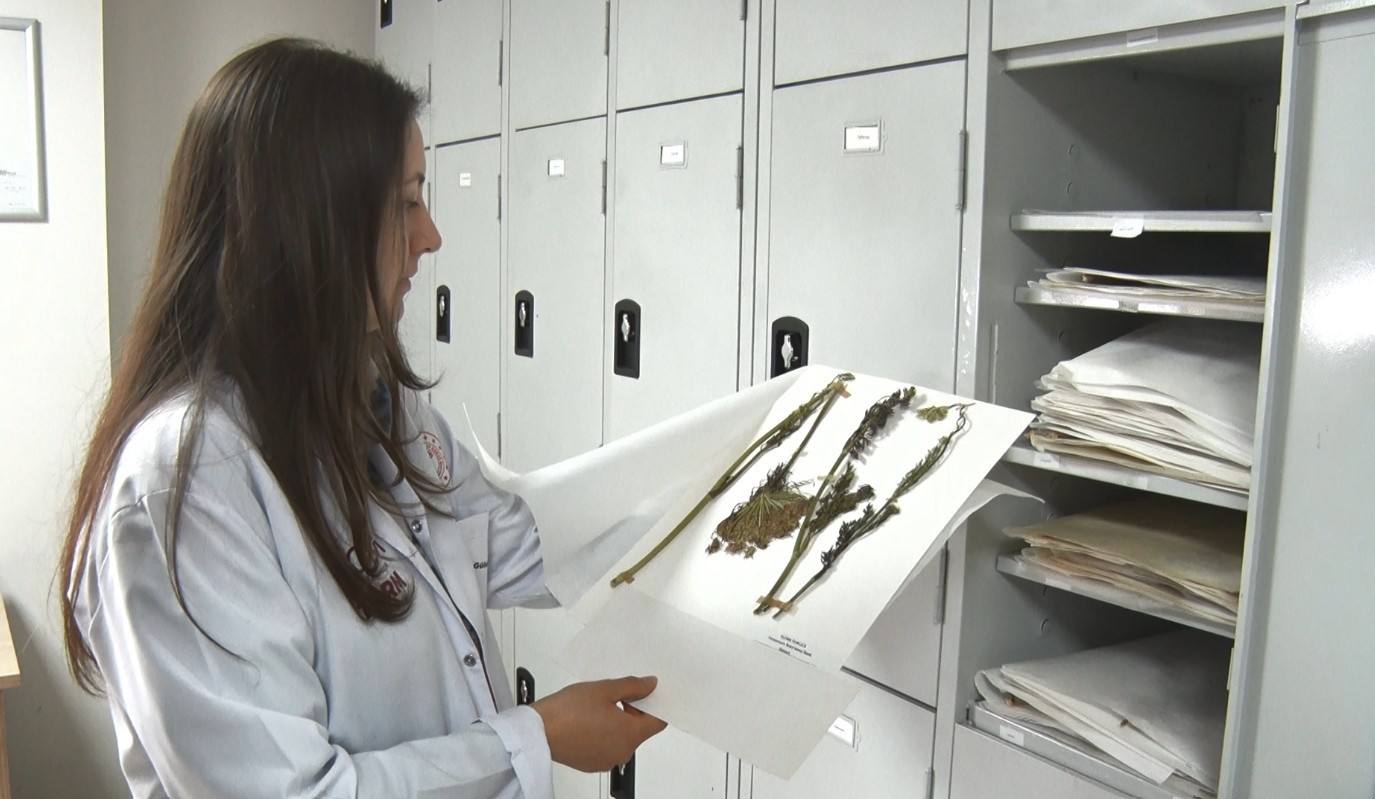 İran gerilimi sonrası gözler gıda güvenliğine çevrildi: Türkiye gen bankalarıyla hazırlıklı
İran gerilimi sonrası gözler gıda güvenliğine çevrildi: Türkiye gen bankalarıyla hazırlıklı