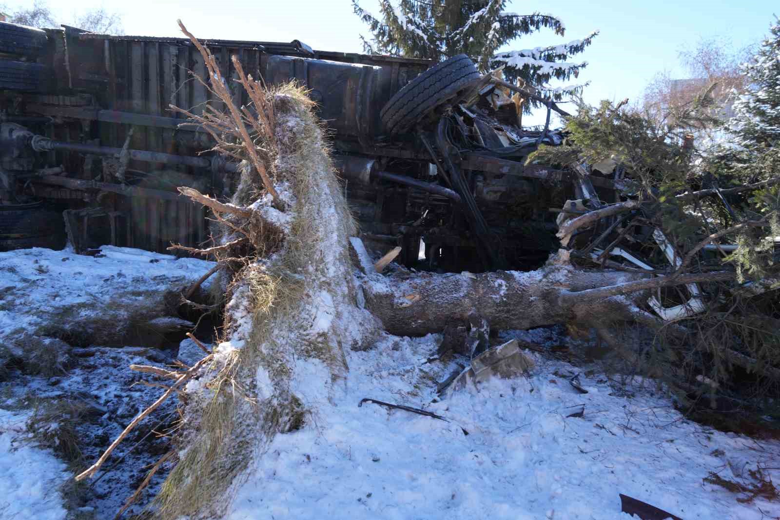 Işıklarda duramayan kamyon devrildi, çarptığı ağacı kökünden söktü
