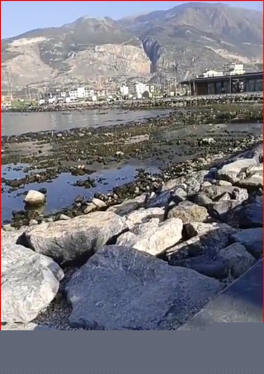 İskenderun Körfezi’nde denizde çekilme yaşandı
